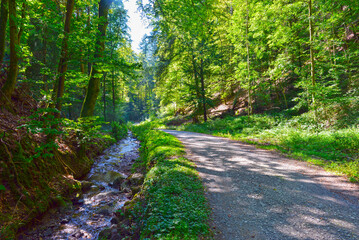 Rückersbacher Schlucht in Johannesberg/Aschaffenburg	