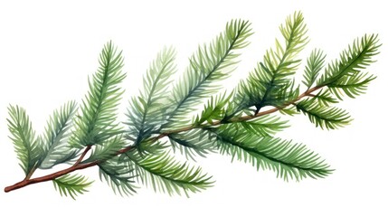 Watercolor illustration of a branch of spruce on a white background Generative AI