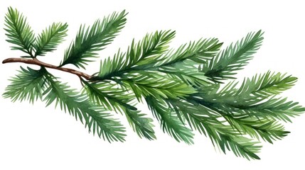 Watercolor Christmas tree branch isolated on white background. Hand drawn illustration. Generative AI