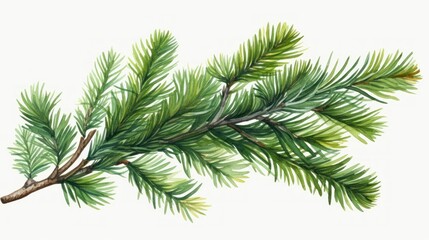 Pine branch. Watercolor illustration. Isolated on white background. Generative AI