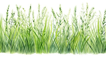 Watercolor seamless border with green grass. Hand painted vector illustration. Generative AI