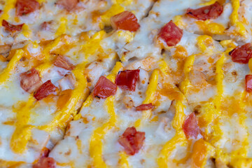 pizza with tomatoes, cheese and different sauces