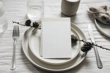 New Year, Christmas styled naural table setting. White plate, silver cutlery. Larch tree cones,...