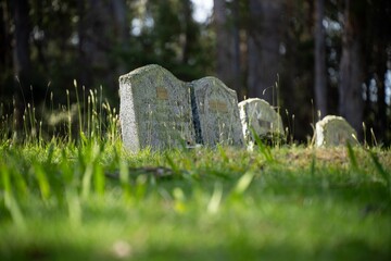gravestone in a cemetery, with large marble tombstone. with other graves and funeral around in...