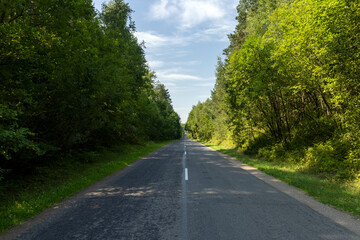 paved old road in the forest in summer