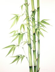 Fototapeta na wymiar Delicate and Refined Botanical Watercolor of Bamboo Stalk and Leaves AI Generated
