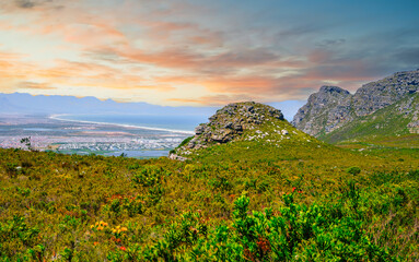 Obraz premium Silvermine Nature Reserve mountain and flowers with Muizenberg in the background, Cape Town, South Africa