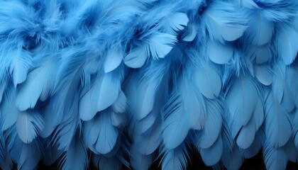 Blue feather texture background detailed digital art of large bird feathers in vibrant blue shades - obrazy, fototapety, plakaty