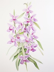 Vibrant Watercolor Artwork of Dendrobium Spectabile on White Background AI Generated