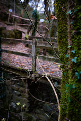 Autumnal woodland bridge in Zugarramurdi, Spain.