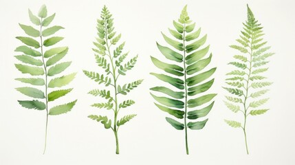 Set of Three Lush Watercolor Fern in Varying Shades AI Generated