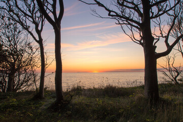 Sonnenuntergang im Gespensterwald auf Rügen