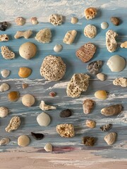 Aragonite rock and shells south Miami Beach, Florida 