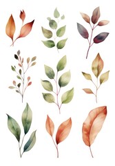 Set of watercolor leaves isolated on white background. illustration. Generative AI