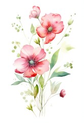 Beautiful watercolor illustration of anemone flowers, isolated on white background Generative AI