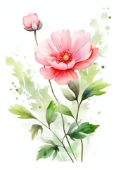 Beautiful watercolor illustration with peony flowers on a white background Generative AI