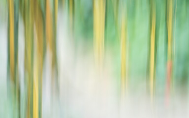 Green and yellow leave plant in abstract form. Motion blur, producing dreamy and painterly effect.