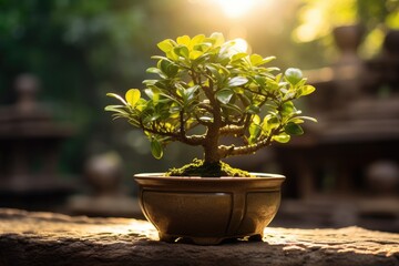 Beautiful green plant standing in sunlight.