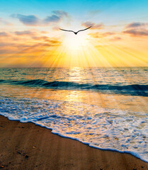 Divine Sunset Ocean Bird Flying Vertical Inspirational Uplifting Beautiful Spiritual Ethereal Hope...