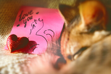 Text Love You on paper, notepad. Falling in love.  Pretty cute kitten relaxing, sleeping. Tabby cat. Atmospheric mood