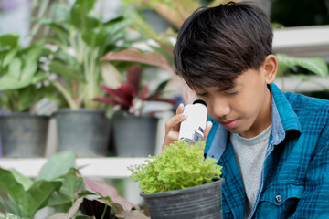 Asian cute schoolboy holds mini portable microscope and looking at the small details of the potted...