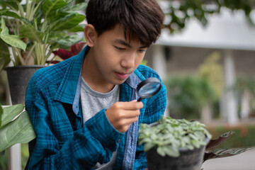 Asian cute schoolboy holds mini magnifying glass and looking at the small details of the potted...
