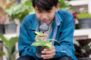 Asian cute schoolboy holds mini magnifying glass and looking at the small details of the potted...