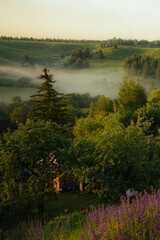 Fototapeta premium morning on the river