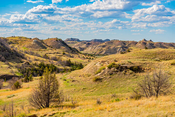 landscape in the mountains