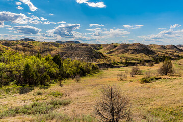 landscape with sky