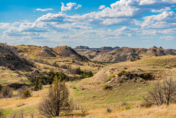 landscape in the mountains