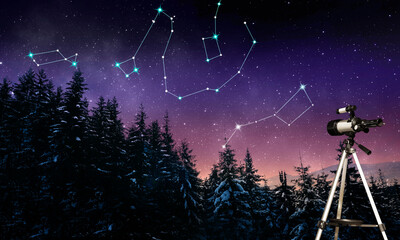 Different constellations in starry sky over conifer forest at night. Stargazing with telescope - obrazy, fototapety, plakaty