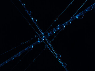 Color High resolution water drops on spiderweb. Macro photography.