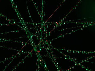 Color High resolution water drops on spiderweb. Macro photography.