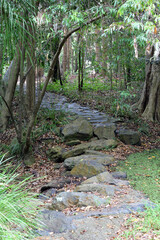 Rocky pathway through trees at the Tondoon Botanic Gardens in Gladstone, Queensland, Australia
