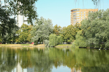Quiet park with trees and lake on sunny day
