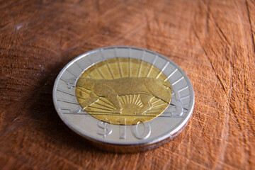 Close-up of a 2015 10 Uruguayan Pesos coin featuring a puma