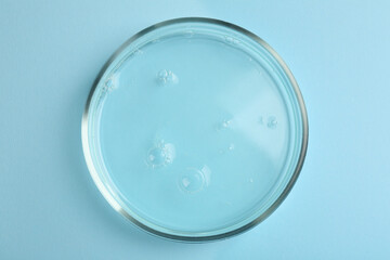 Petri dish with liquid sample on light blue background, top view