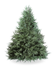 One green Christmas tree isolated on white