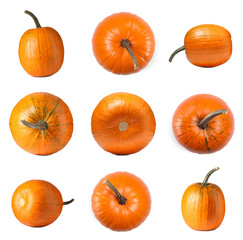Fresh ripe pumpkins isolated on white, set