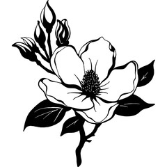 Magnolia flower vector design, Floral arrangement black silhouette, Magnolia SVG, blooming flowers printable images, Sublimation designs © NadyaSaen 