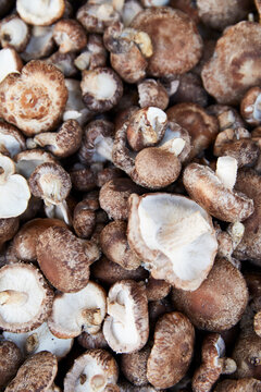Shitake mushrooms.