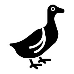 animal icon