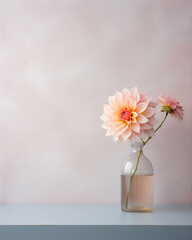 Fototapeta na wymiar flower in glass vase in close up isolated on white background, soft light.