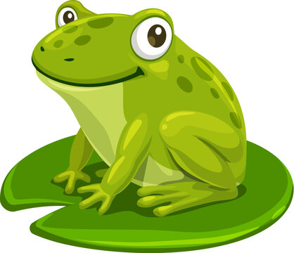 Adorable cartoon frog character sitting on water lilly leaf. Isolated vector amphibian animal, kids personage with round eyes and a contagious grin. Its green skin and posture exude charm and whimsy