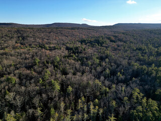 bare winter trees (view of mountains, fall) next to evergreen conifers (aerial view, drone shot, from above) forest, hiking, nature (deciduous woods, northeast) wilderness, wild, wood, tree, clear day