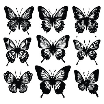 Set of butterfly silhouettes isolated on a white background, Vector illustration.