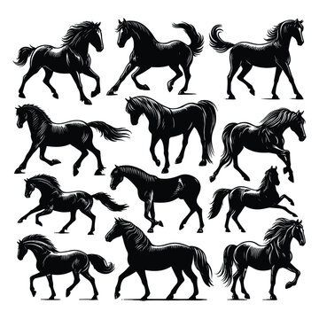 Set of horse silhouettes isolated on a white background, Vector illustration.