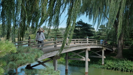 Fototapeta na wymiar People on a bridge at Chicago Botanic Graden. The scene is also framed by the willows. 