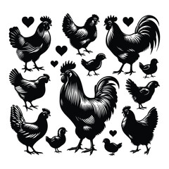 Set of Chicken silhouettes isolated on a white background, Vector illustration.